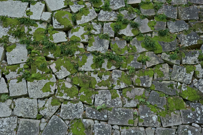苔の生えた石の城壁（石壁 壁紙の背景フリー画像）