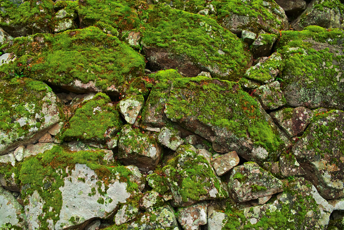苔が生え朽ち果てた石積み（石壁 素材の背景フリー画像）