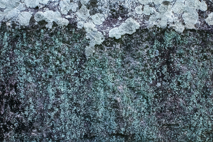 白カビが覆う石のテクスチャ（石のフリー画像）