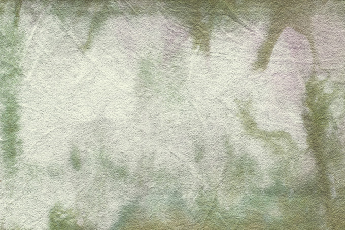 草のような模様がある和紙のテクスチャ素材（テクスチャ かわいいの背景フリー画像）