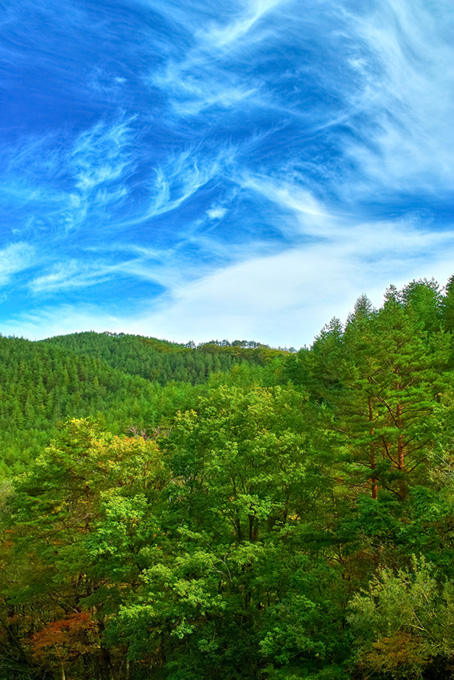 空と山と森の樹木（空 自然 待ち受けの背景フリー画像）