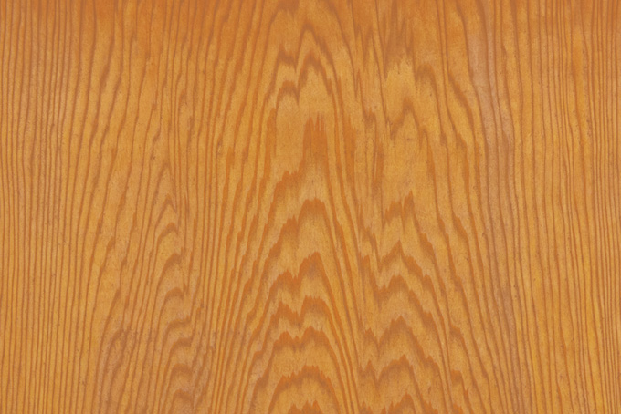 模様が美しい松の木目の素材（木目 画像の背景フリー画像）