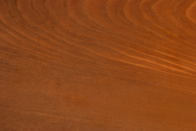 年輪のある木目の茶色い木の素材（木目 模様の背景フリー画像）