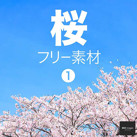 桜 フリー素材 1　無料で使える写真素材集