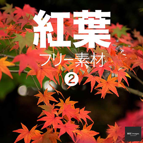 紅葉 の画像 写真素材を無料ダウンロード 1 フリー素材 Beiz Images