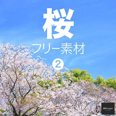 桜 フリー素材 2　無料で使える画像素材集