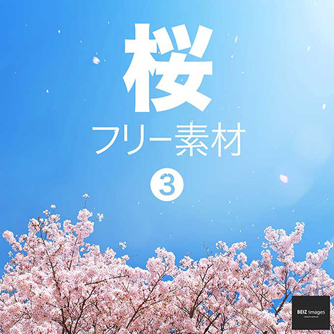 桜 の画像 写真素材を無料ダウンロード 1 フリー素材 Beiz Images